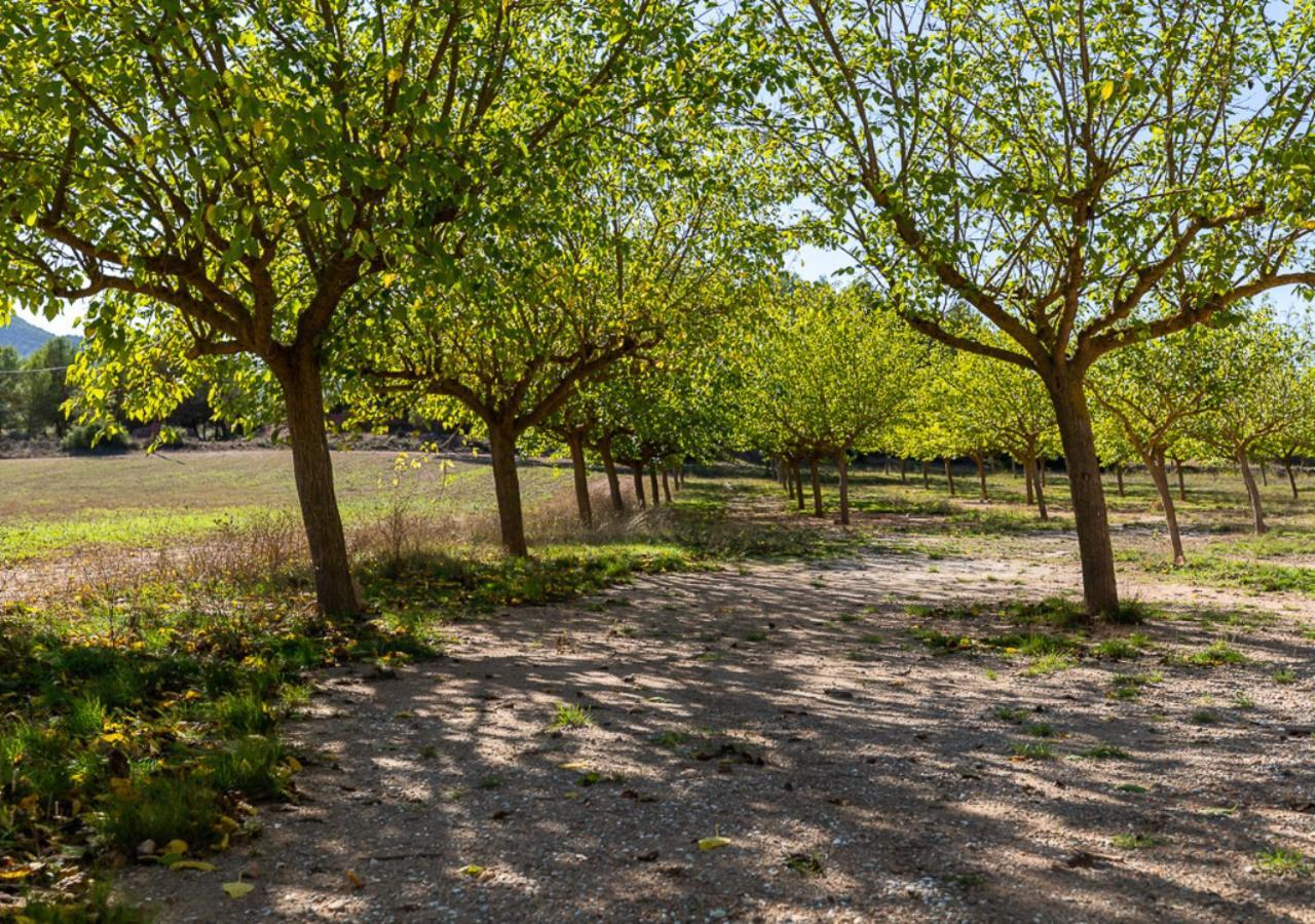 Masia Aubareda San Marti de Tous ภายนอก รูปภาพ